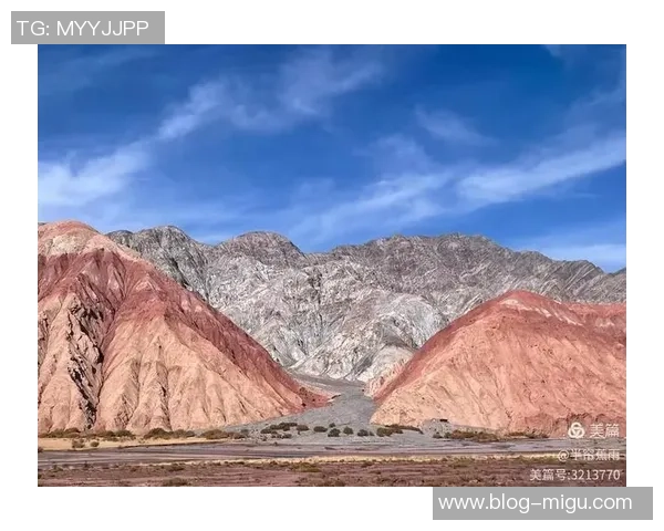 山神山行与岐路交汇的神秘探寻之旅